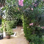 Lenia 2* Καλαμίτσι