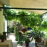 Lenia